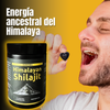 Shilajit™ Vital Gummies - Energía Ancestral en Cada Bocado